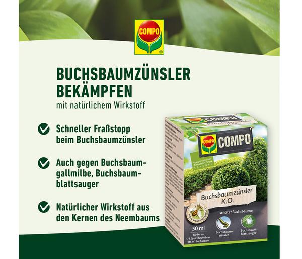 COMPO Buchsbaumzünsler K.O., flüssig, 50 ml