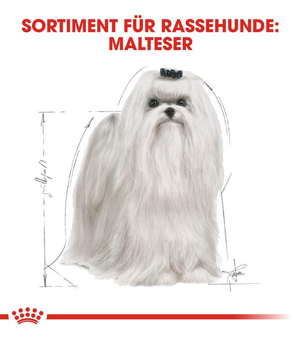 ROYAL CANIN® Trockenfutter für Hunde Maltese
