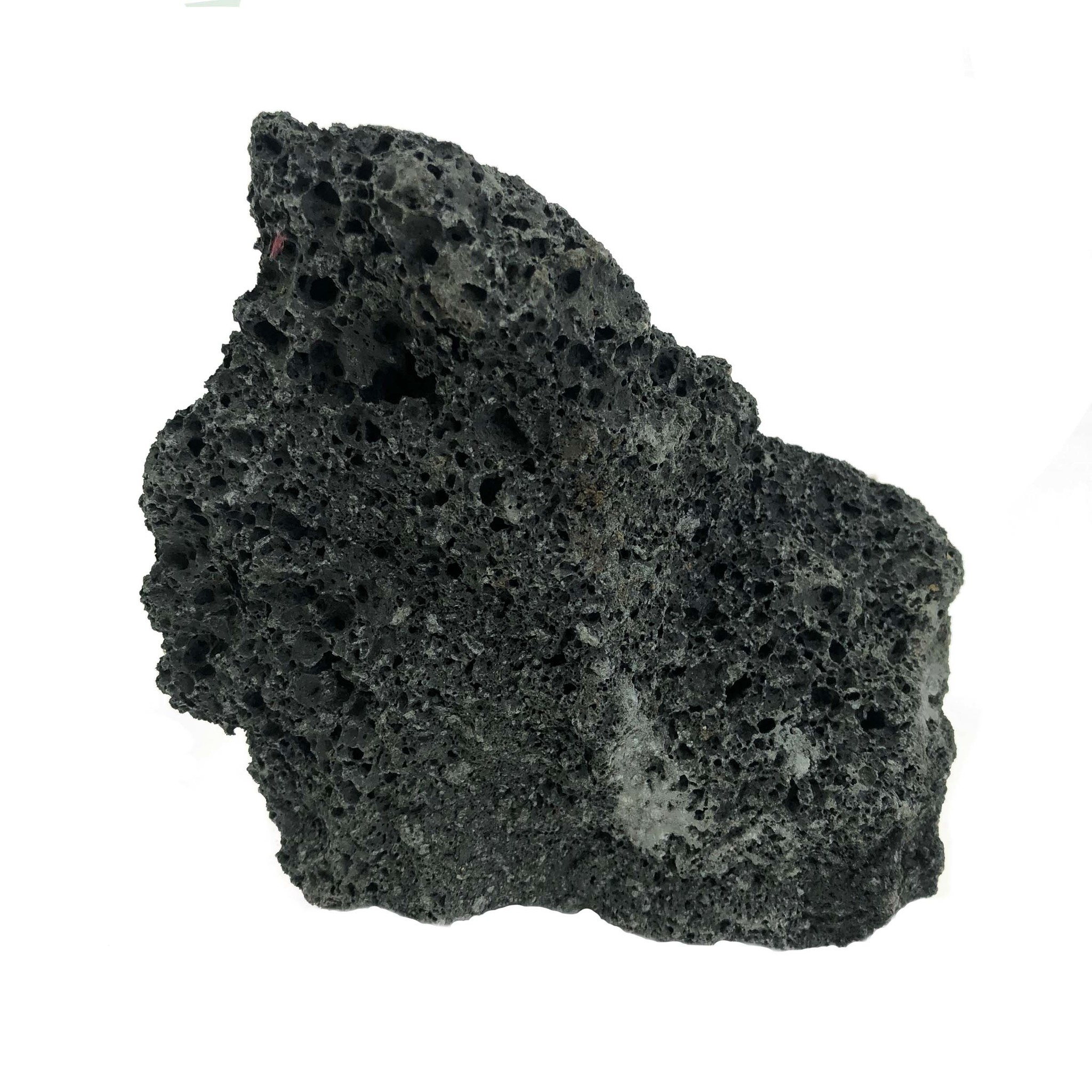 HS Aqua Premium Lava Black M 15-20cm