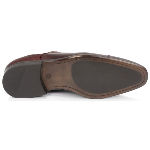 Carlington - NIMALE - Marron