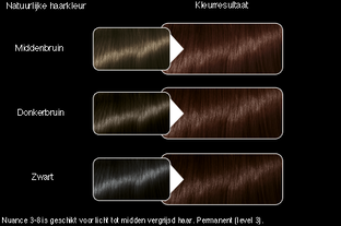 Syoss Color Salonplex 3-8 Donker Goudbruin 1ST