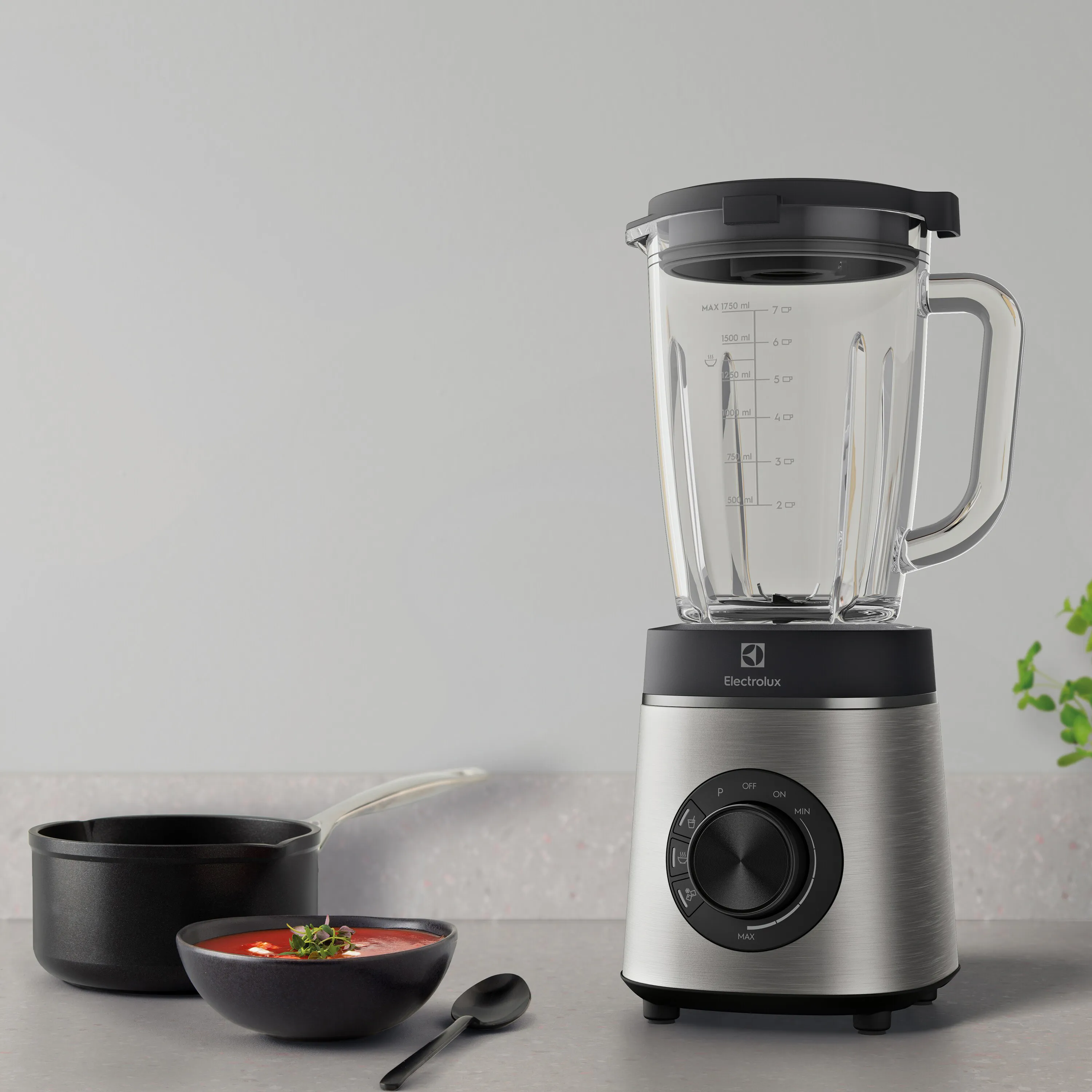 Electrolux Explore 6 Blender