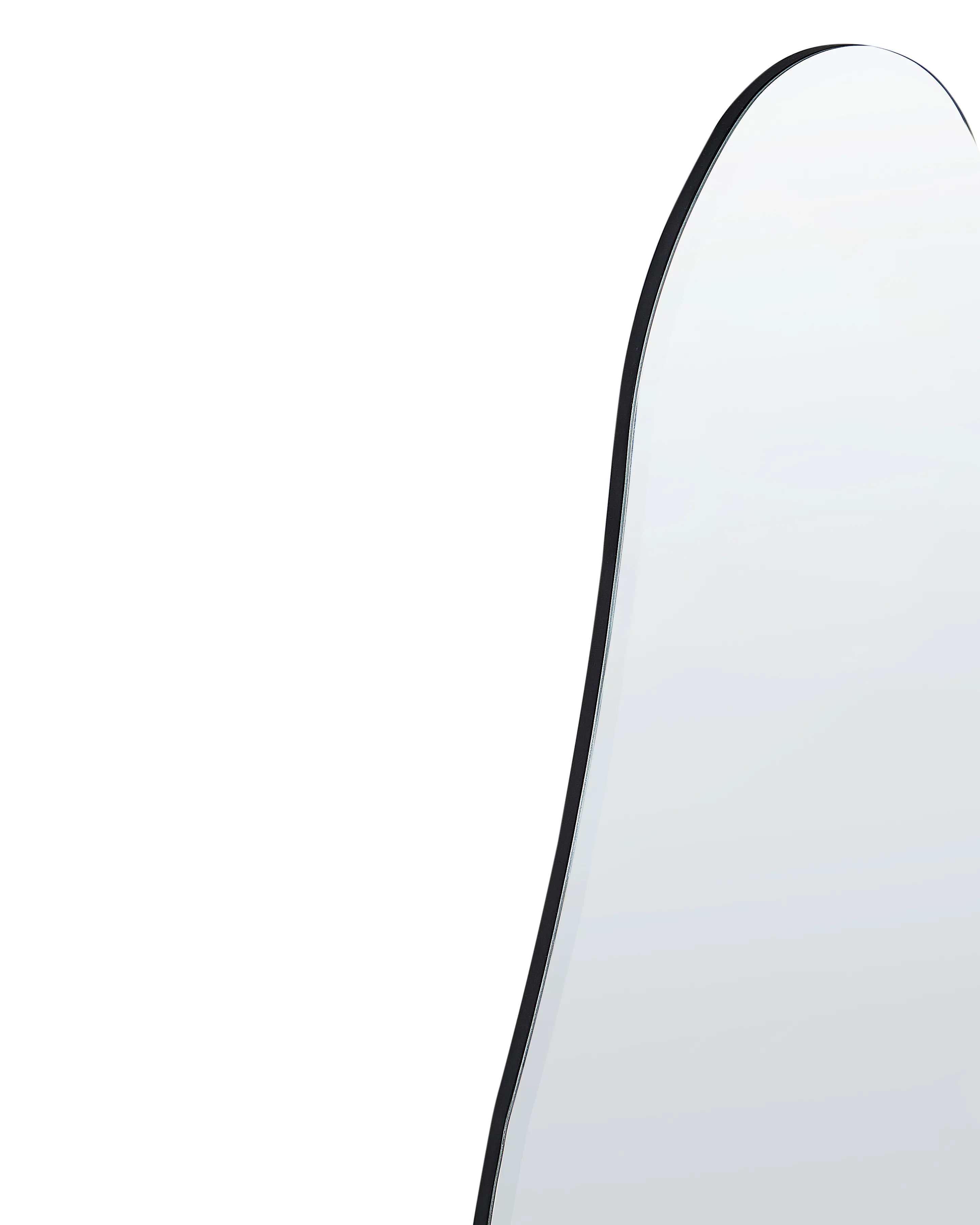 Wandspiegel ESTANG 50 cm 140 cm Zilver