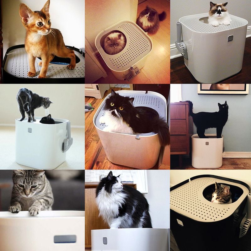 Maison de toilette Modko Modkat, blanc
