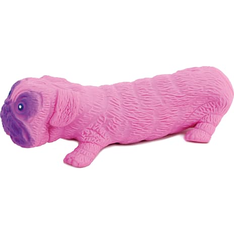 Scoop Rainbow stretchy Pug
