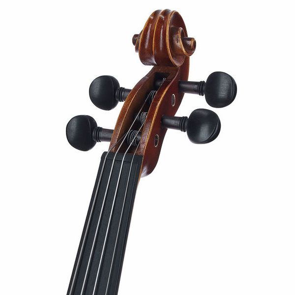 Gewa Allegro VA1 Viola Set 14