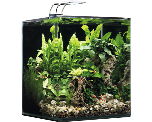 DENNERLE NanoCube Complete+SOIL 30L Aquarium inclusief Power LED 5.0, bodembedekking, filter, achtergrond, thermometer
