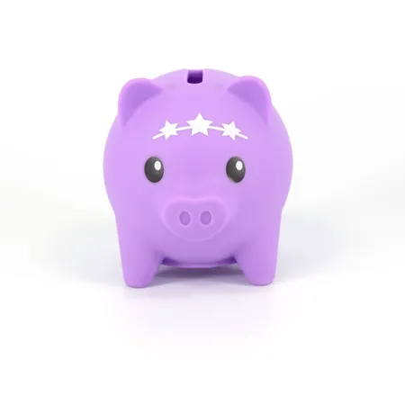 Boti Pocket Money Piggies PROM PARTY
