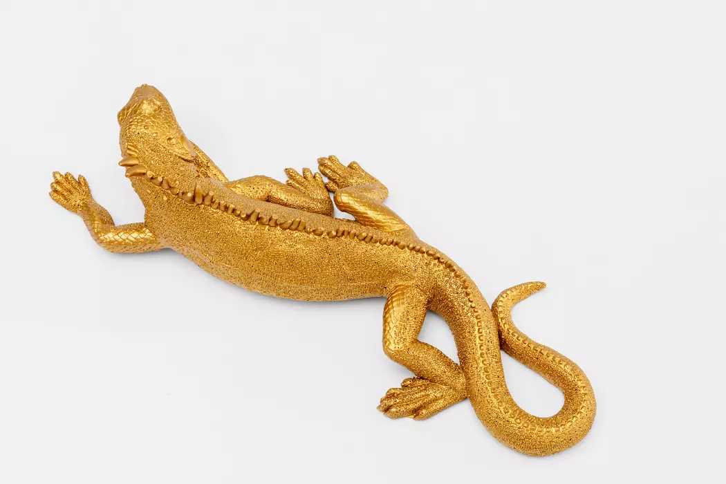Wandobjekt Lizard 11,2 x 30,5 cm
