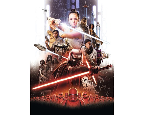 Fotobehangpapier SD4113 Star Wars EP9 Rey Poster 4-delige set 184 x 254 cm