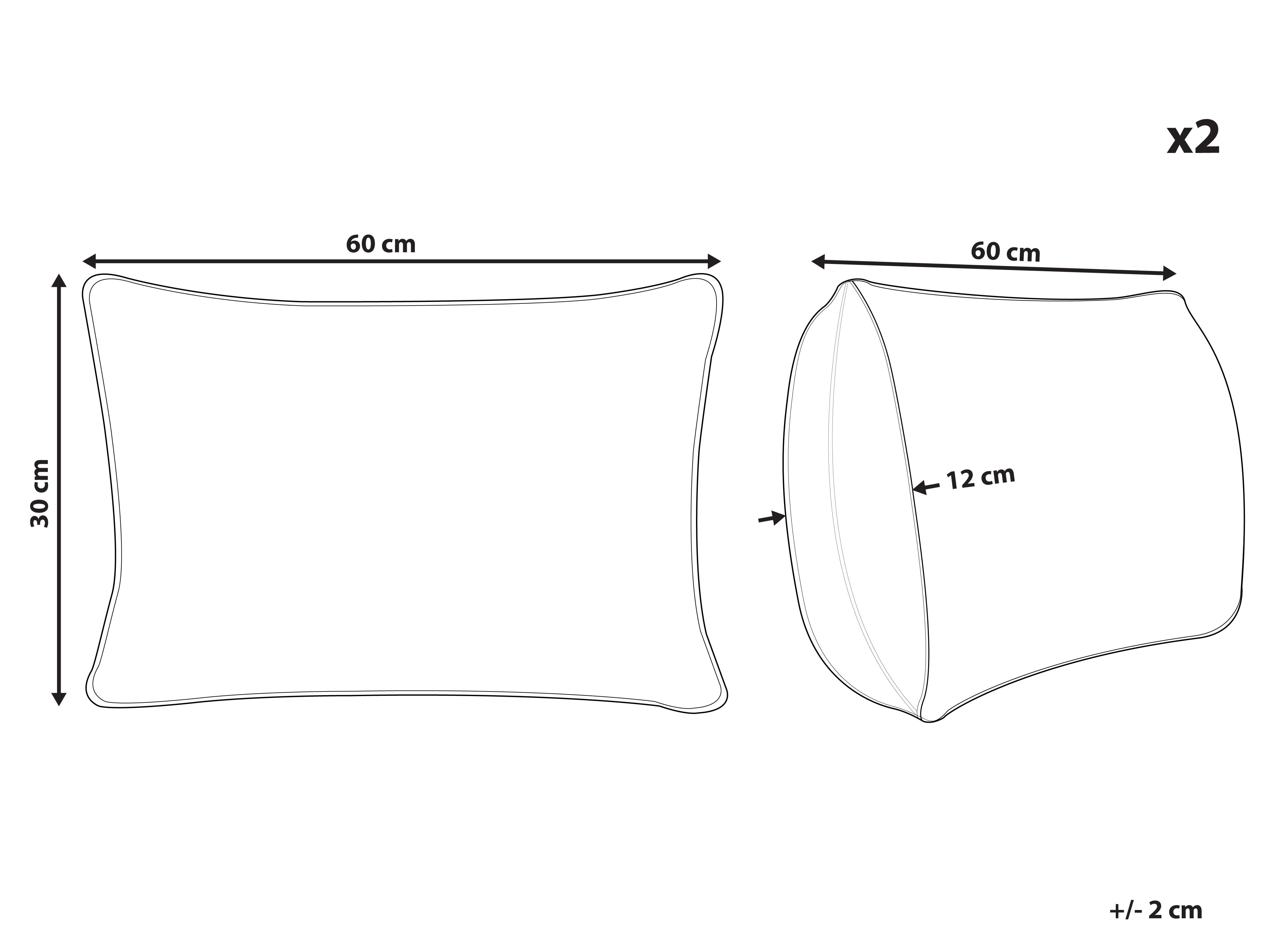 Set van 2 sierkussens DOURIS 30 x 60 cm Lichtbeige geblokt patroon