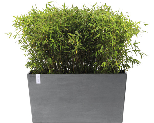 Ecopots Paris plantenbak met wielen, kunststof, 100 x 40 x 50 cm, grijs