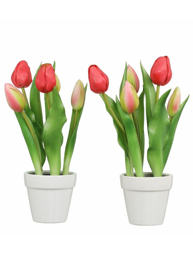 5 Tulpen im Keramiktopf, 2er Set