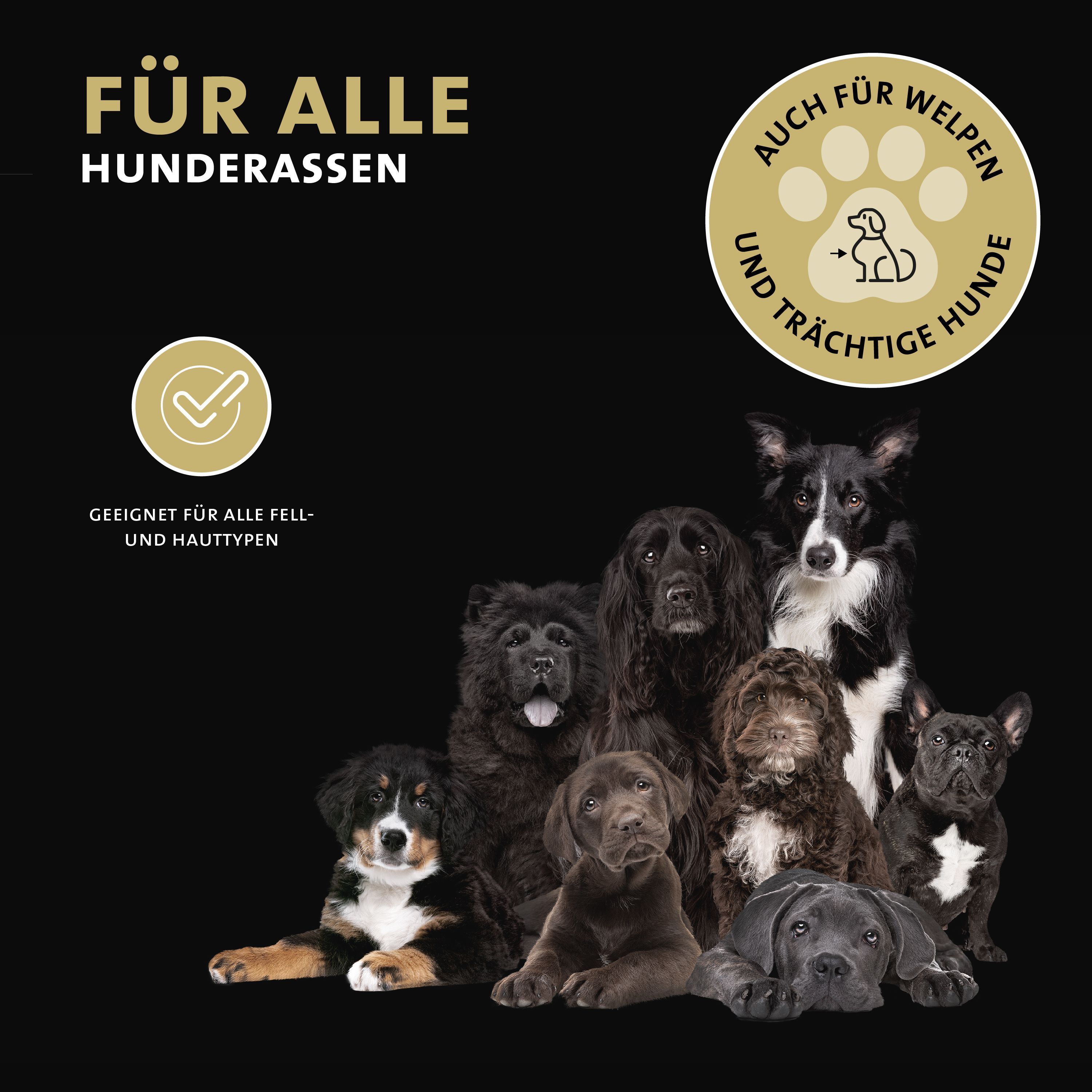 Peticare natürliches Trocken-Shampoo für Hunde, stressfreie Wäsche ohne Wasser