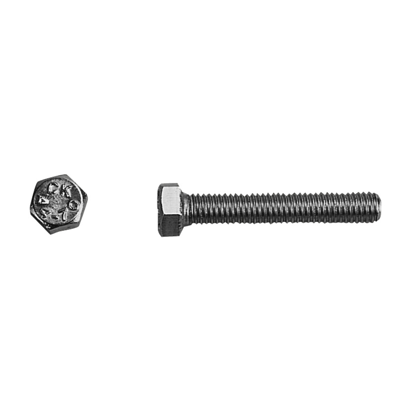 Bolter 6-pk