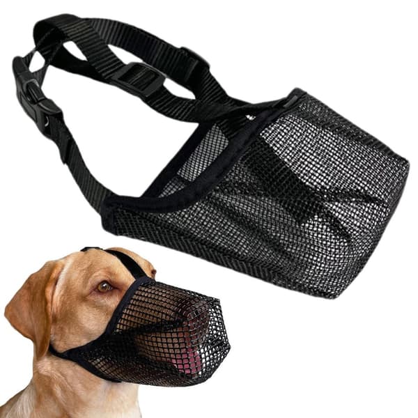 INF Hundesnuten i nylon Sort  L
