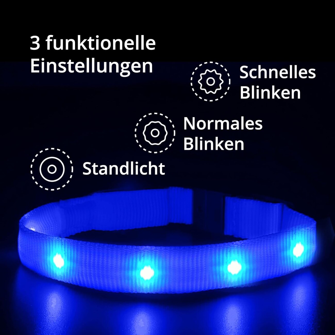 Petsation leuchtendes Katzenhalsband M-L blau
