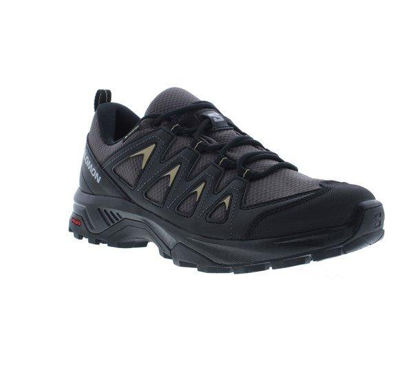 Salomon X Braze GTX Mens Walking Shoe