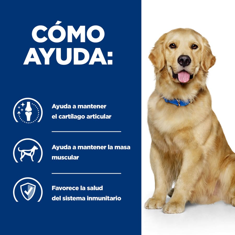 Ração Hill's Prescription Diet Mobility com Frango para Cães