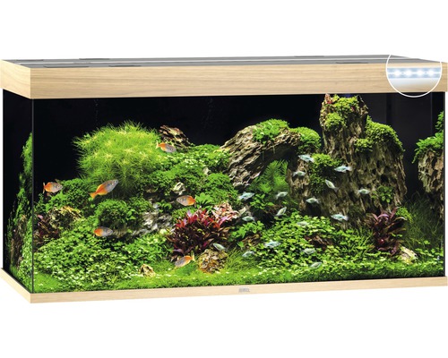 JUWEL Rio 350 aquarium met LED-verlichting, pomp, filter, verwarming (zonder kast), licht hout