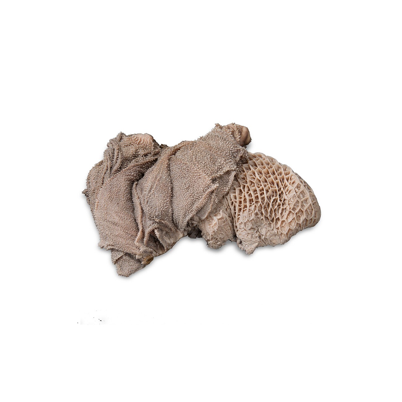 ProCani Blättermagen / Pansen grün 22x500 g