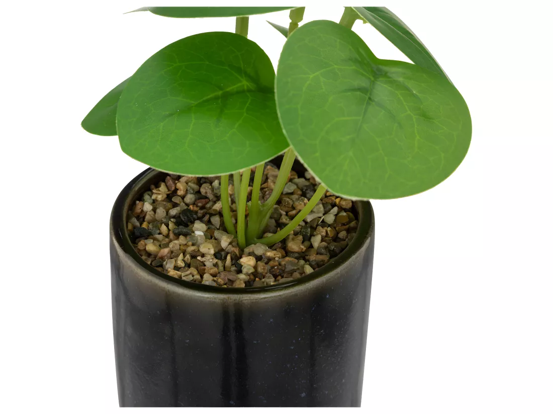 Plante verte artificielle Pot en céramique Noire émaillée H 16 cm