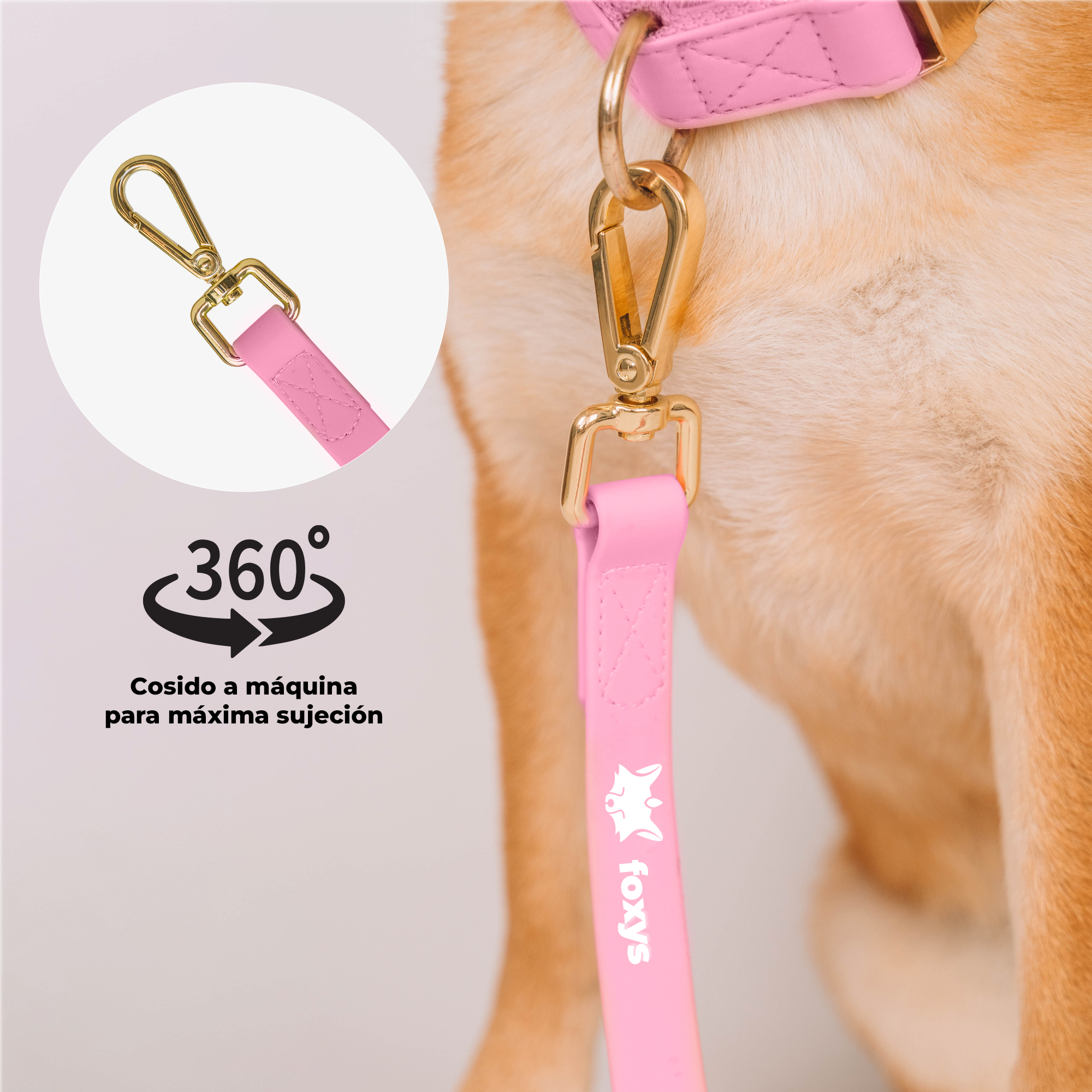 Guia de Treinamento Foxys Freedom para Cães - Rosa, Resistente a Mordidas, Impermeável, Elegante e Muito Fácil de Limpar