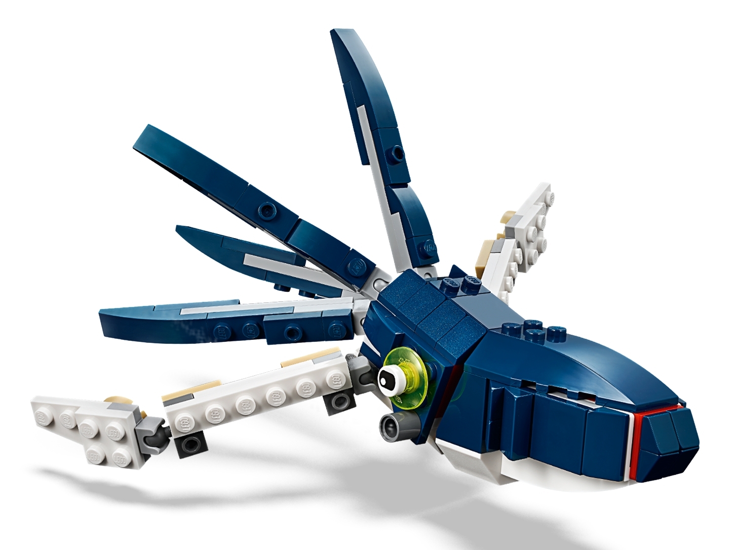 Criaturas Subaquáticas 31088