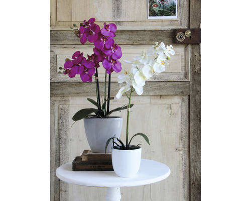 Kunstorchidee, 60 cm hoog, wit