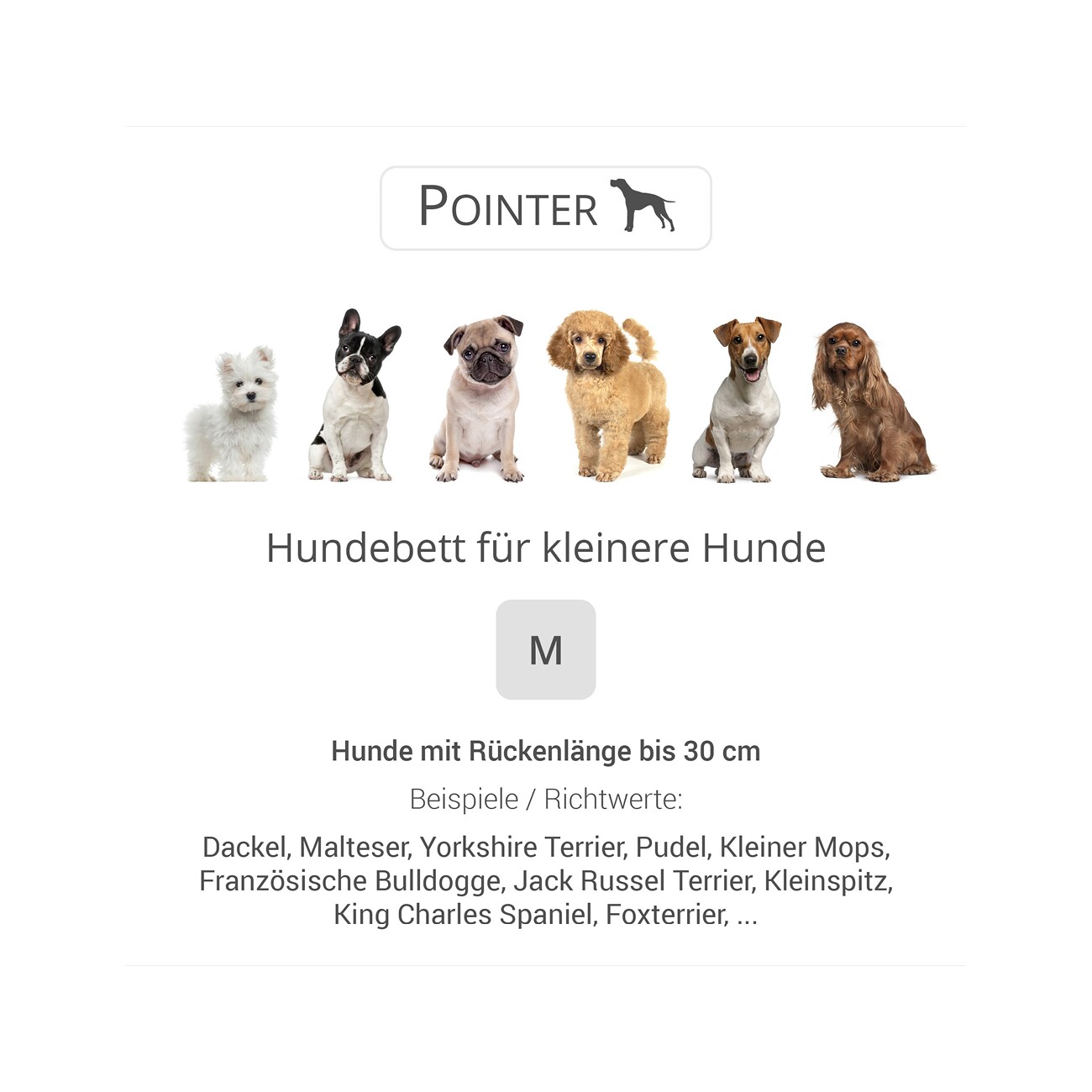 Doctor Bark Pointer Hundebett sandbraun M
