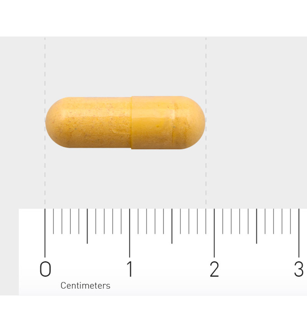 Orthica B2-50 (90 capsules)