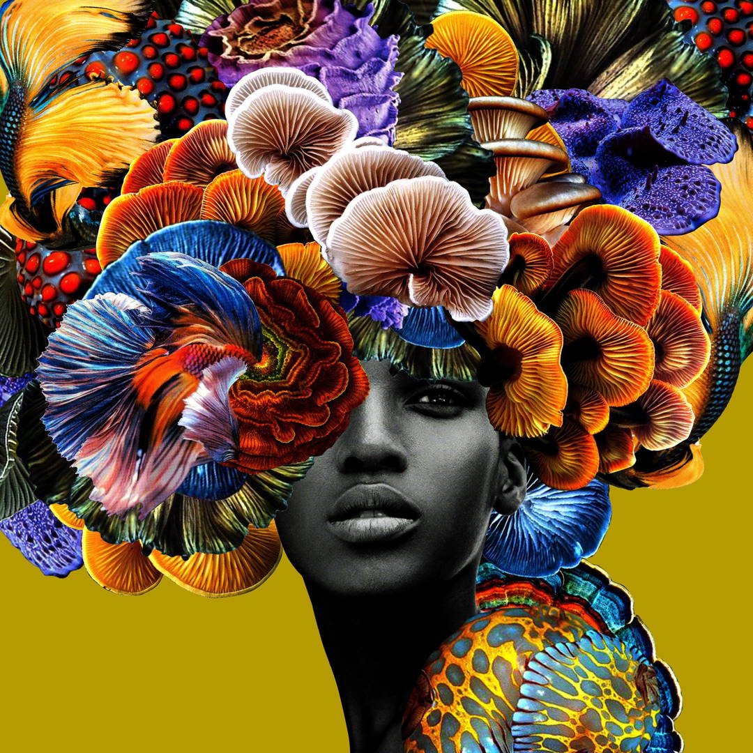 Good Hair by Carol Muthiga - Oyekunle - Limited Edition. Edition of: 150. Signed.