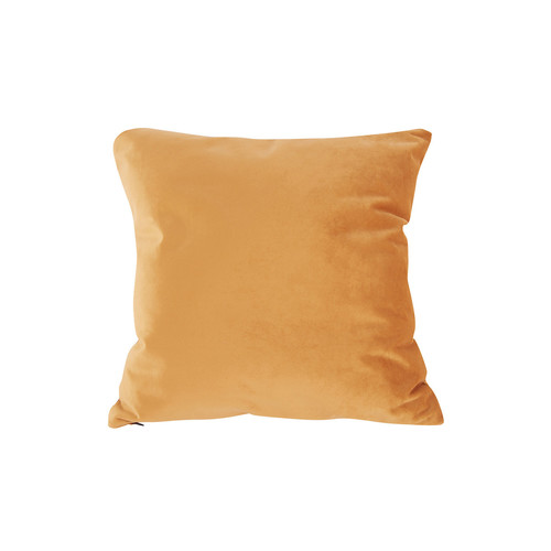 Present Time - TENDER - Ocre
