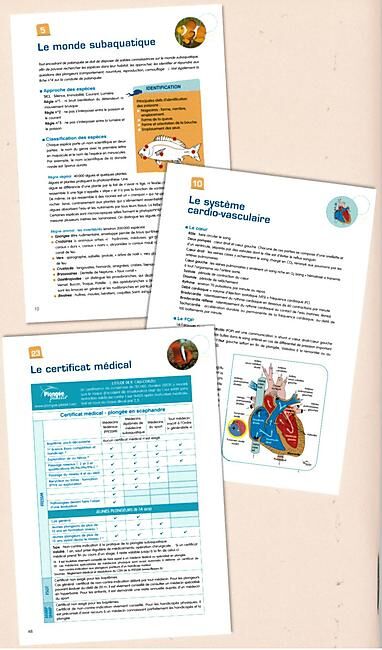 GAP - MEMENTO NIVEAU 4