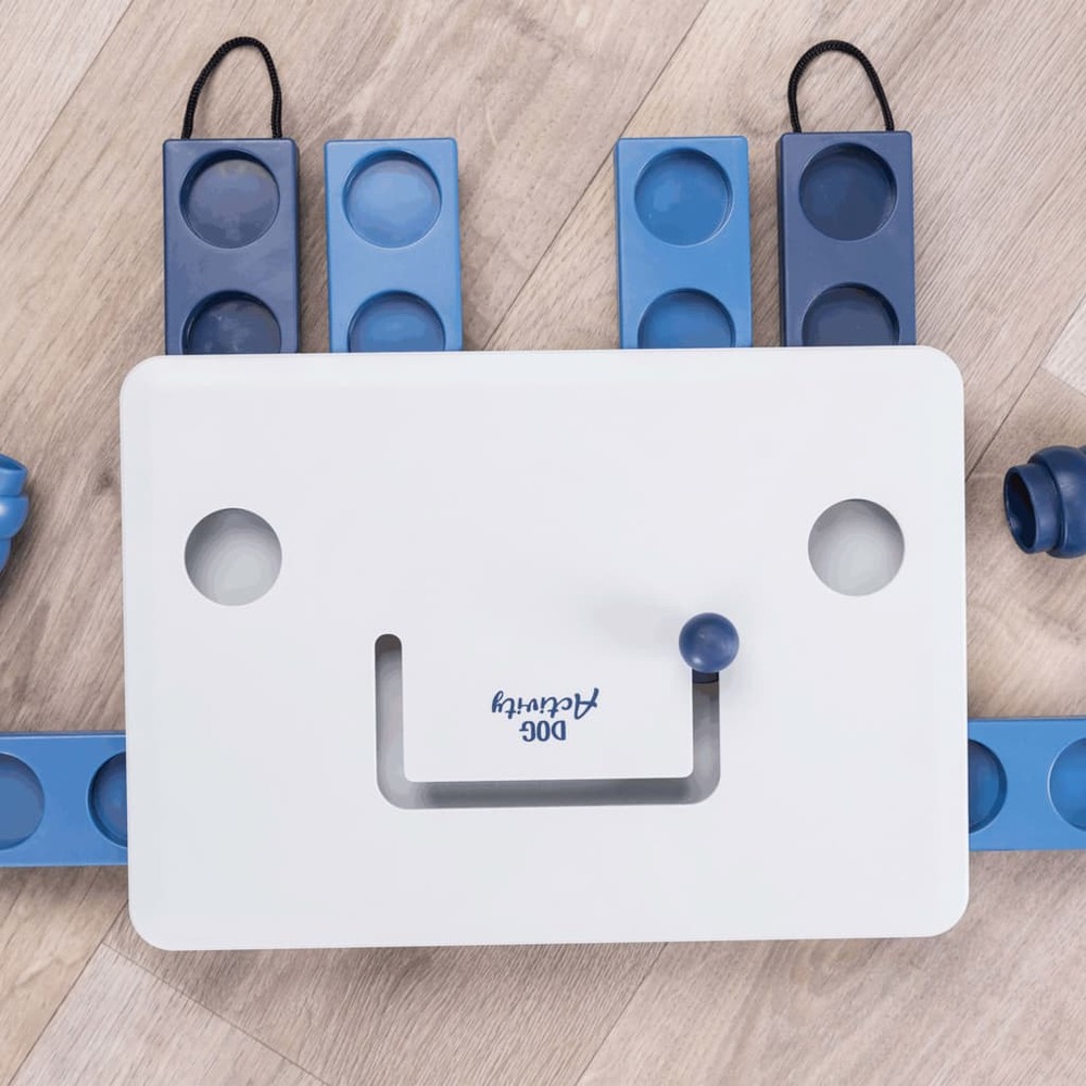 Jeu de stratégie d'activités pour chiens move2win 32025