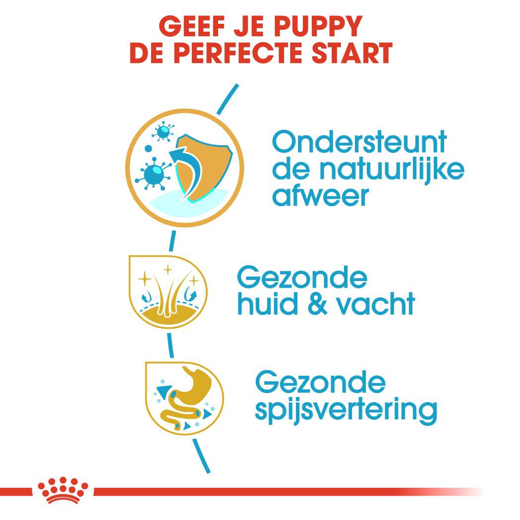 Royal Canin Golden Retriever Junior - Hondenvoer - 12 Kilogram - gevogelte