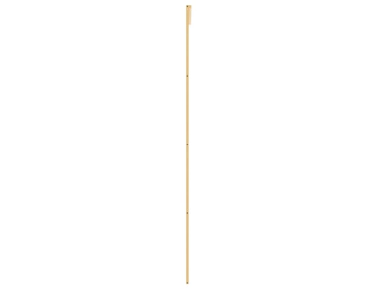 VIDAXL - Porte verre Porte coulissante doré 76x205 cm verre esg clair et aluminiu...