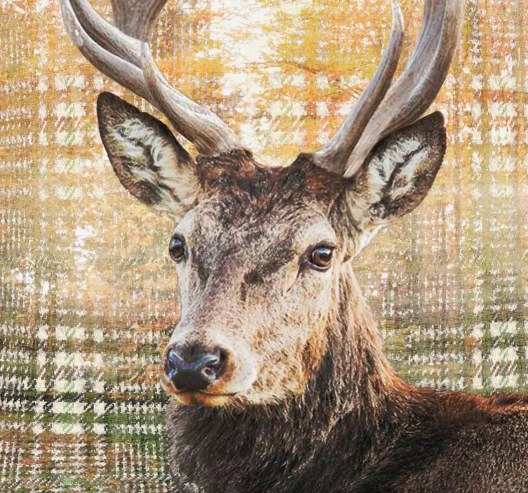 Kissenbezug Hirsch 46 x 46 cm