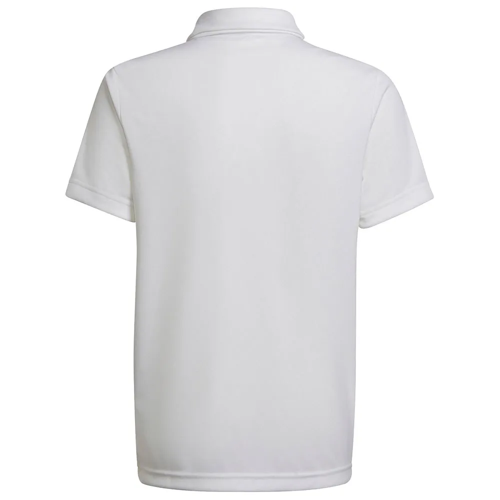 Camisa polo de manga curta adidas Entrada 22