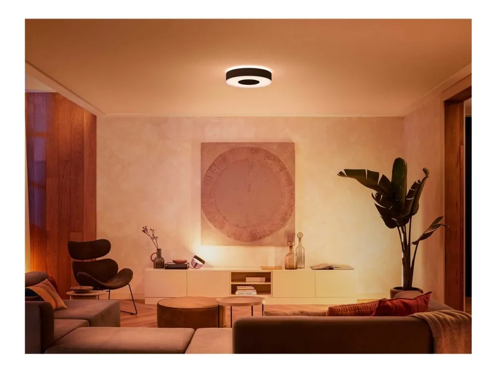 Philips Hue White and Color Ambiance Infuse M - Loftslampe - LED - 33.5 W - klasse G - 2000-6500 K - sort
