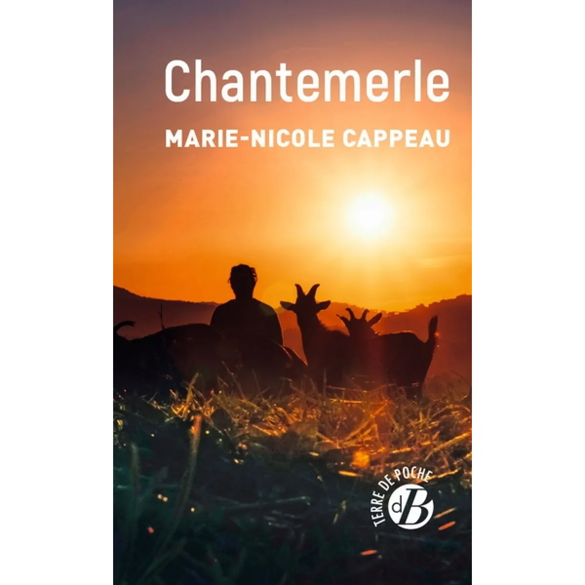 Chantemerle · Occasion