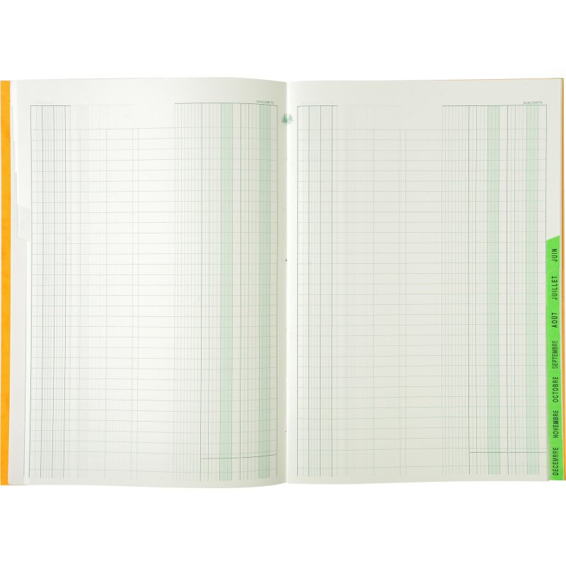 Piqûre 29,7 x 21cm échéancier 80 pages