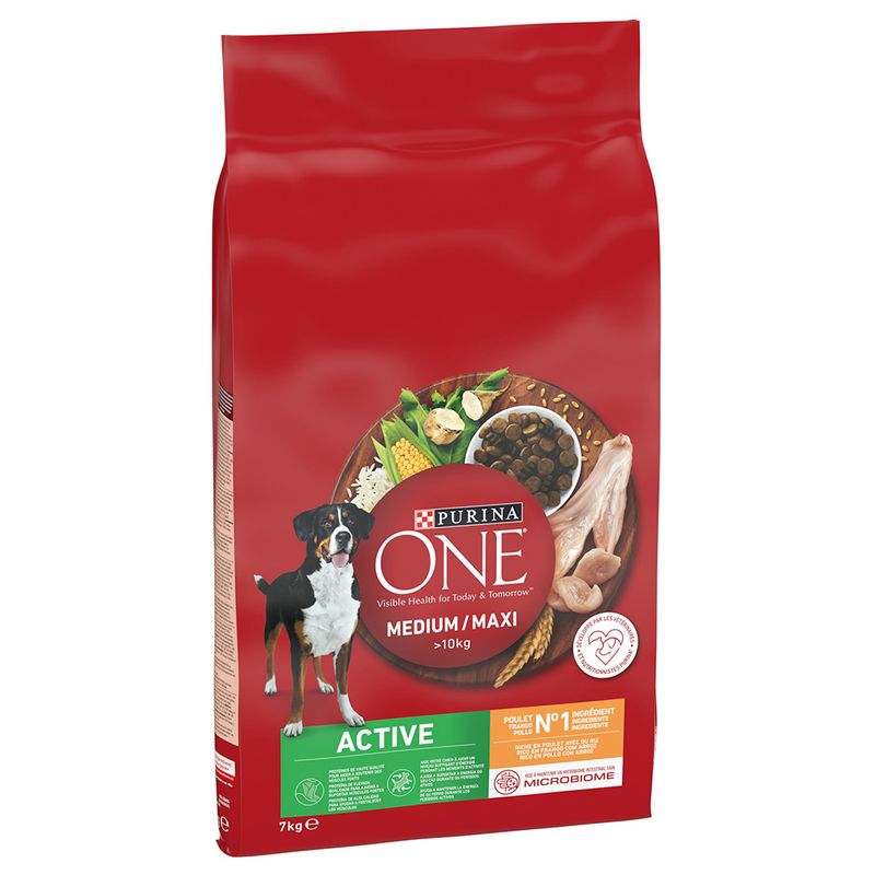 PURINA ONE Medium/Maxi Active poulet