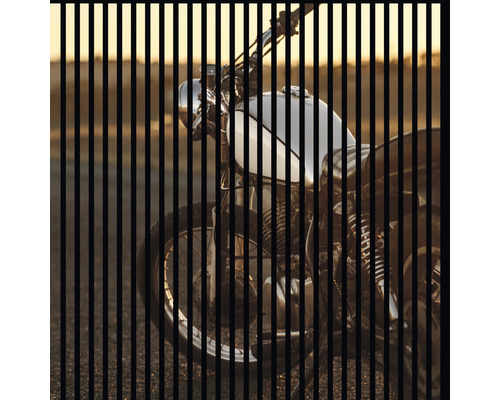 Akoestisch paneel, digitaal bedrukt, motorfietsdesign, 1195 x 1133 x 19 mm, set = 2 individuele panelen