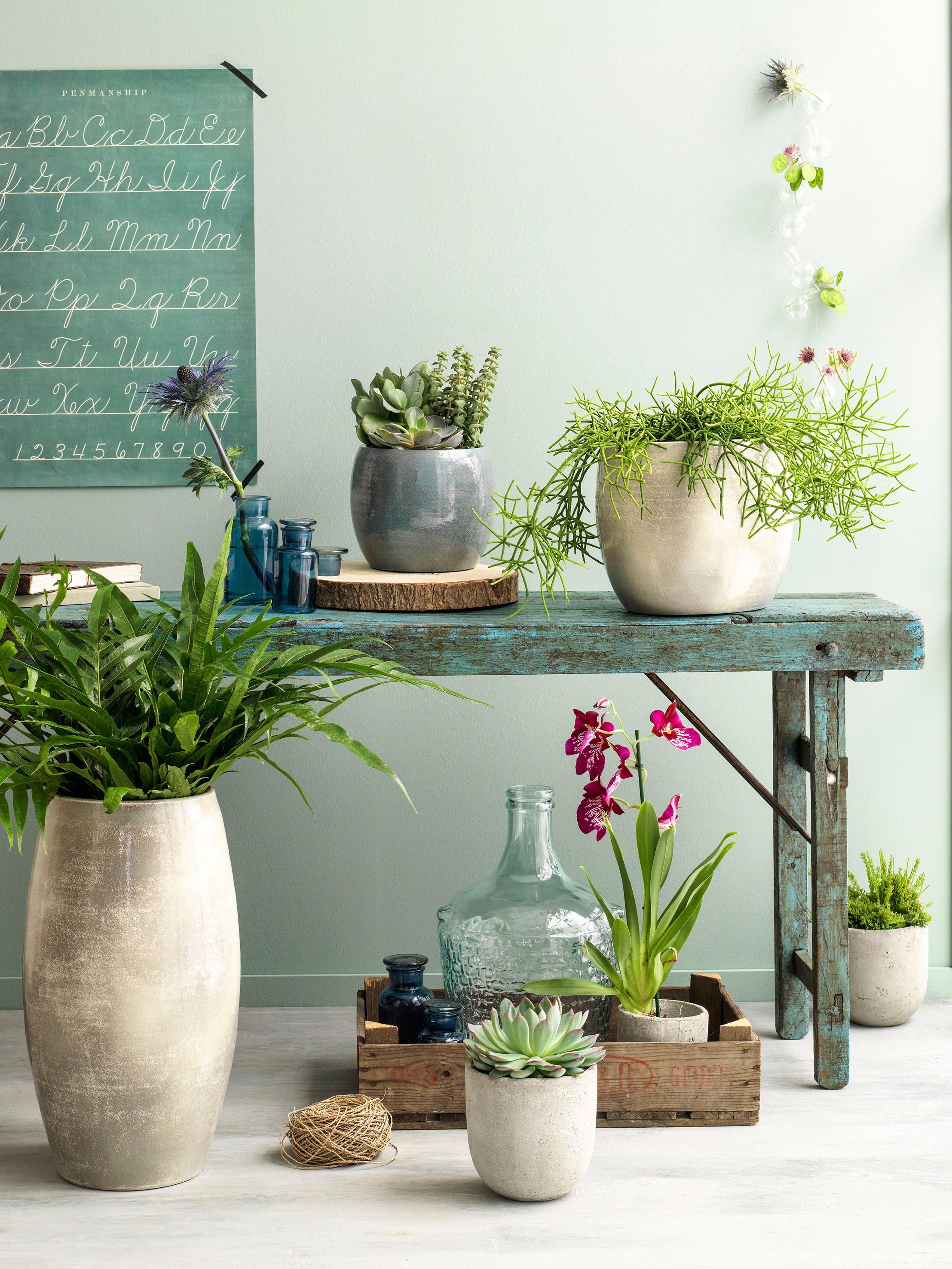 Mica decorations pot de fleur lester - 28x28x26 cm - terre cuite - bleu
