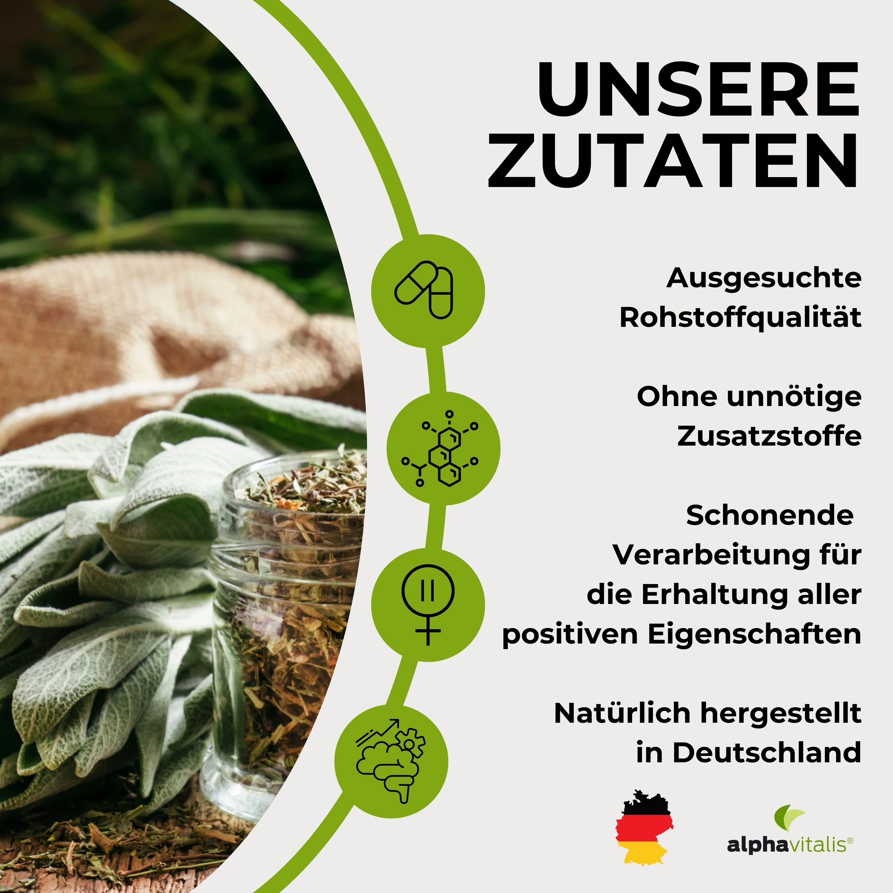 Alphavitalis Wechselsanft