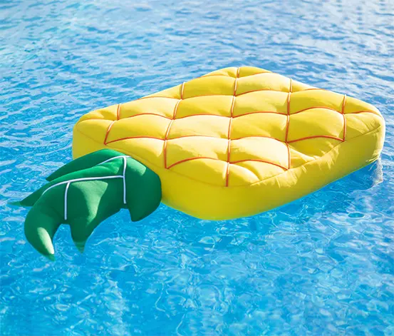 Pool Buddy Ananas