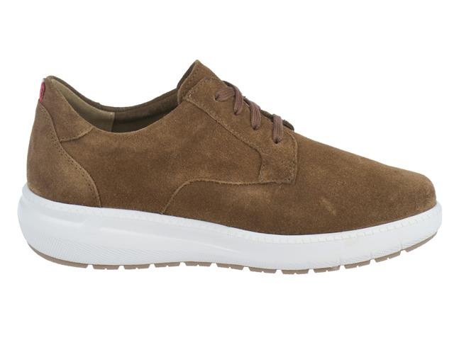 Mephisto Joris