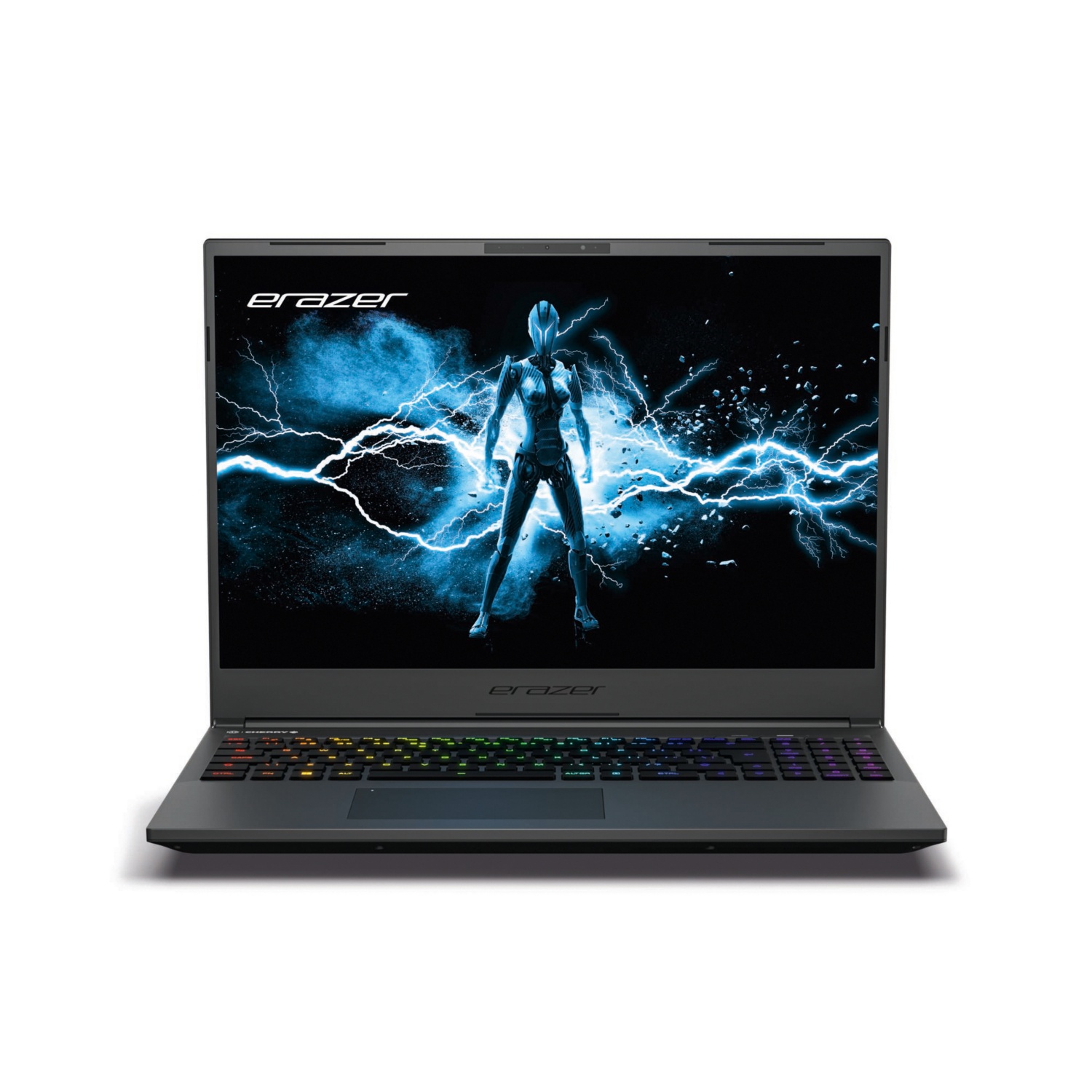 MEDION Gaming Notebook Major X20 (MD62617)
