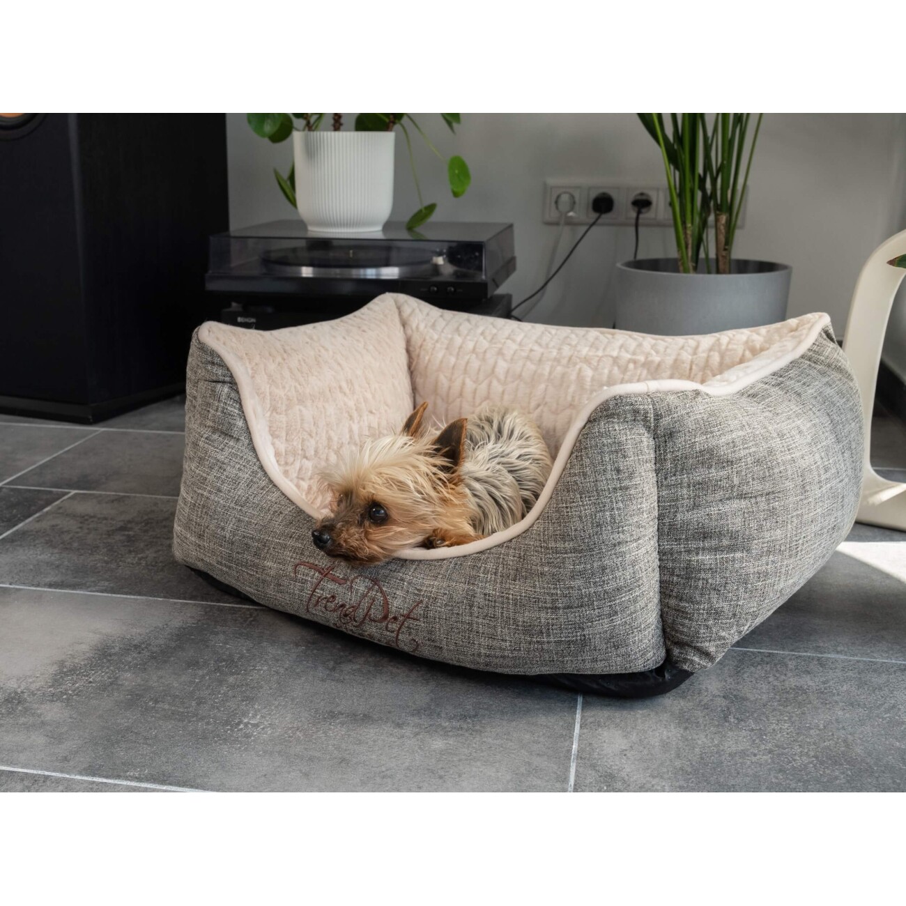 TrendPet VitaBed Classic orthopädisches Hundebett beige S